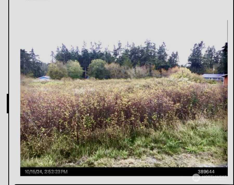 2 San Juan Street Coupeville WA 98239