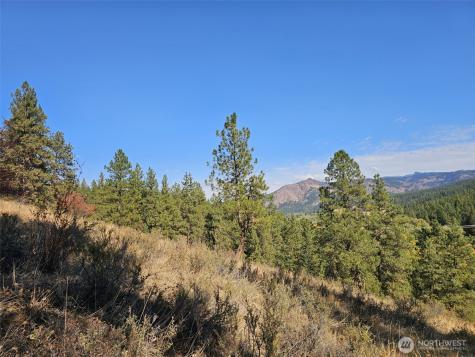 2 Swauk Pines Road Cle Elum WA 98922