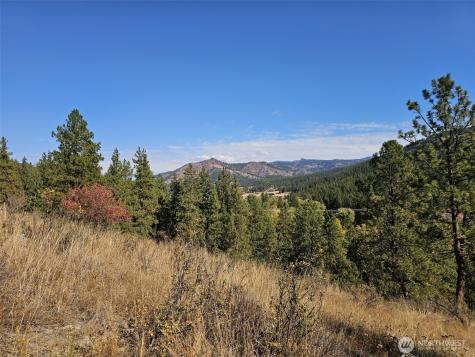 2 Swauk Pines Road Cle Elum WA 98922