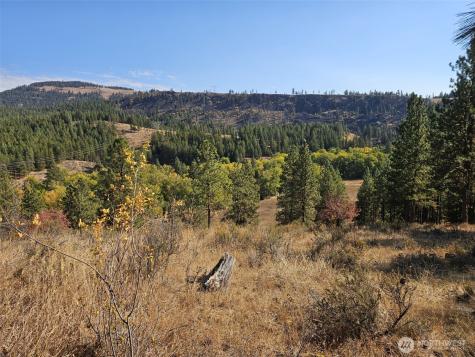 2 Swauk Pines Road Cle Elum WA 98922