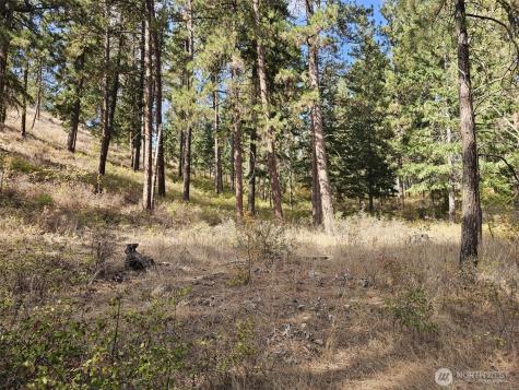 2 Swauk Pines Road Cle Elum WA 98922