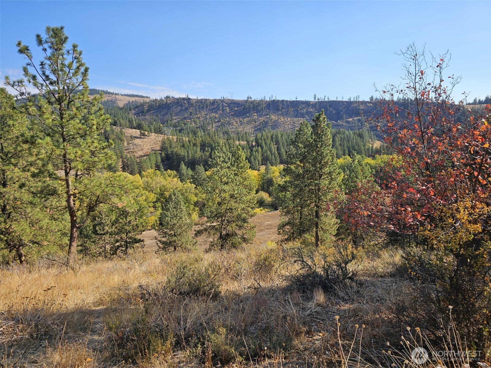 2 Swauk Pines Road Cle Elum WA 98922