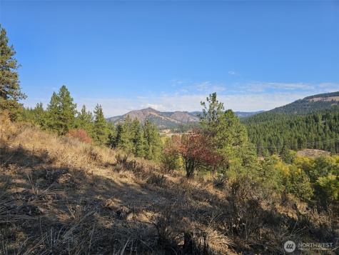 2 Swauk Pines Road Cle Elum WA 98922