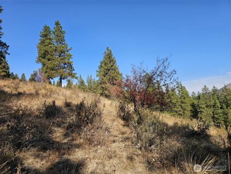 2 Swauk Pines Road Cle Elum WA 98922