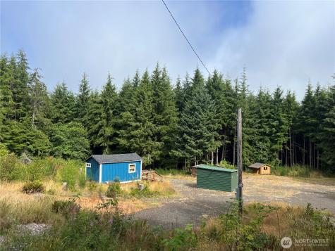 282 Copalis Beach Road Copalis Beach WA 98355