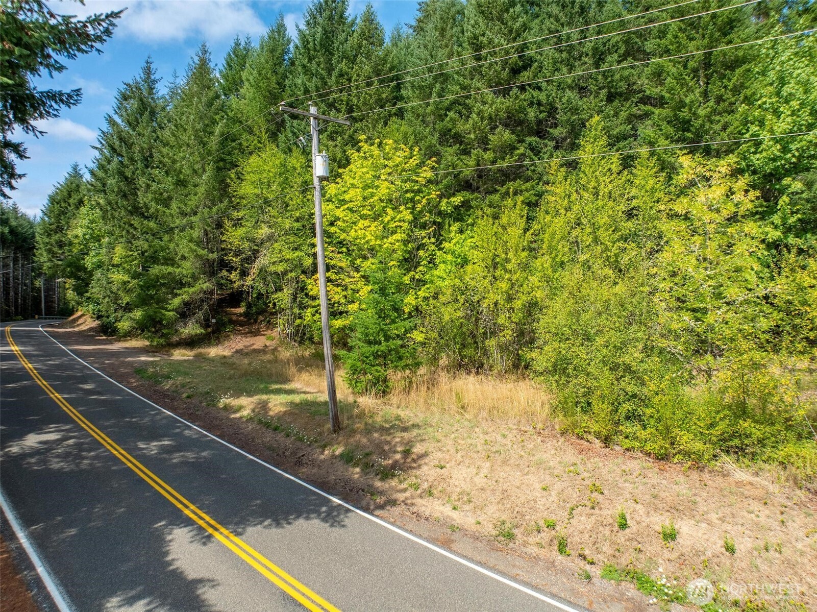 0 Lincoln Creek Road Rochester WA 98579