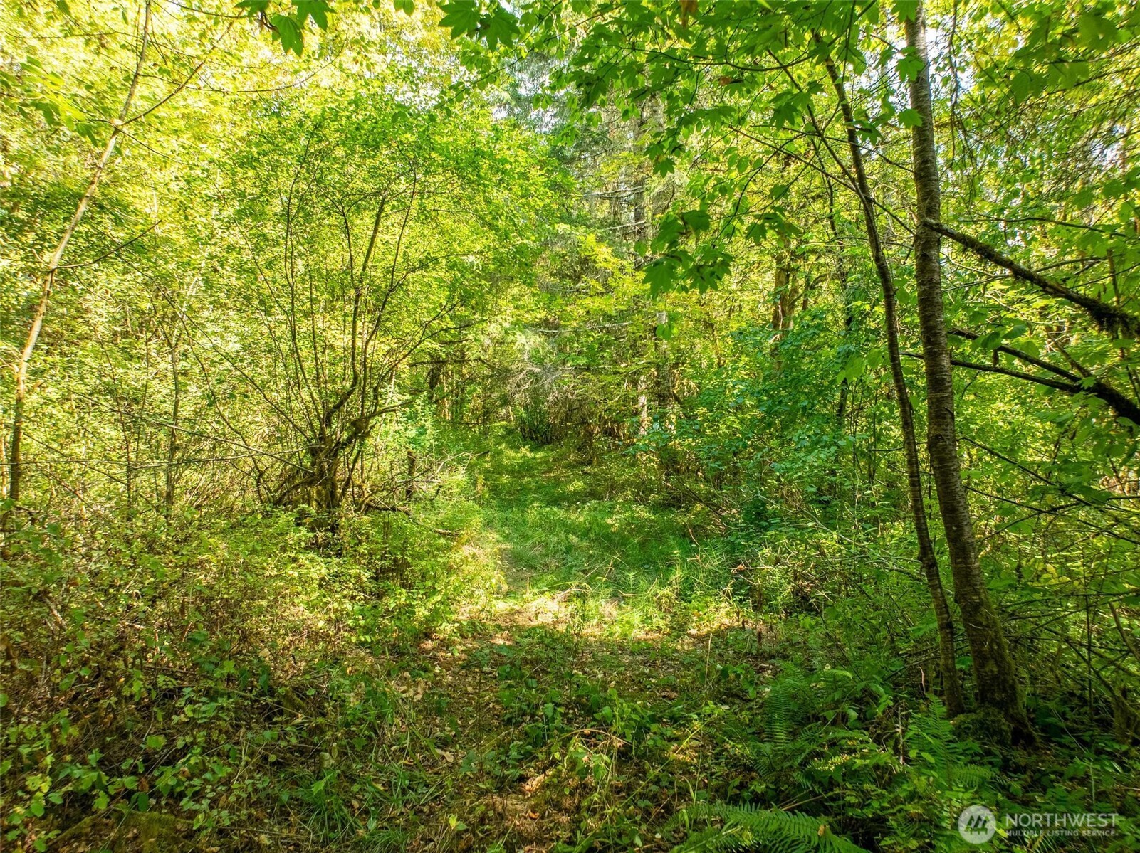 0 Lincoln Creek Road Rochester WA 98579