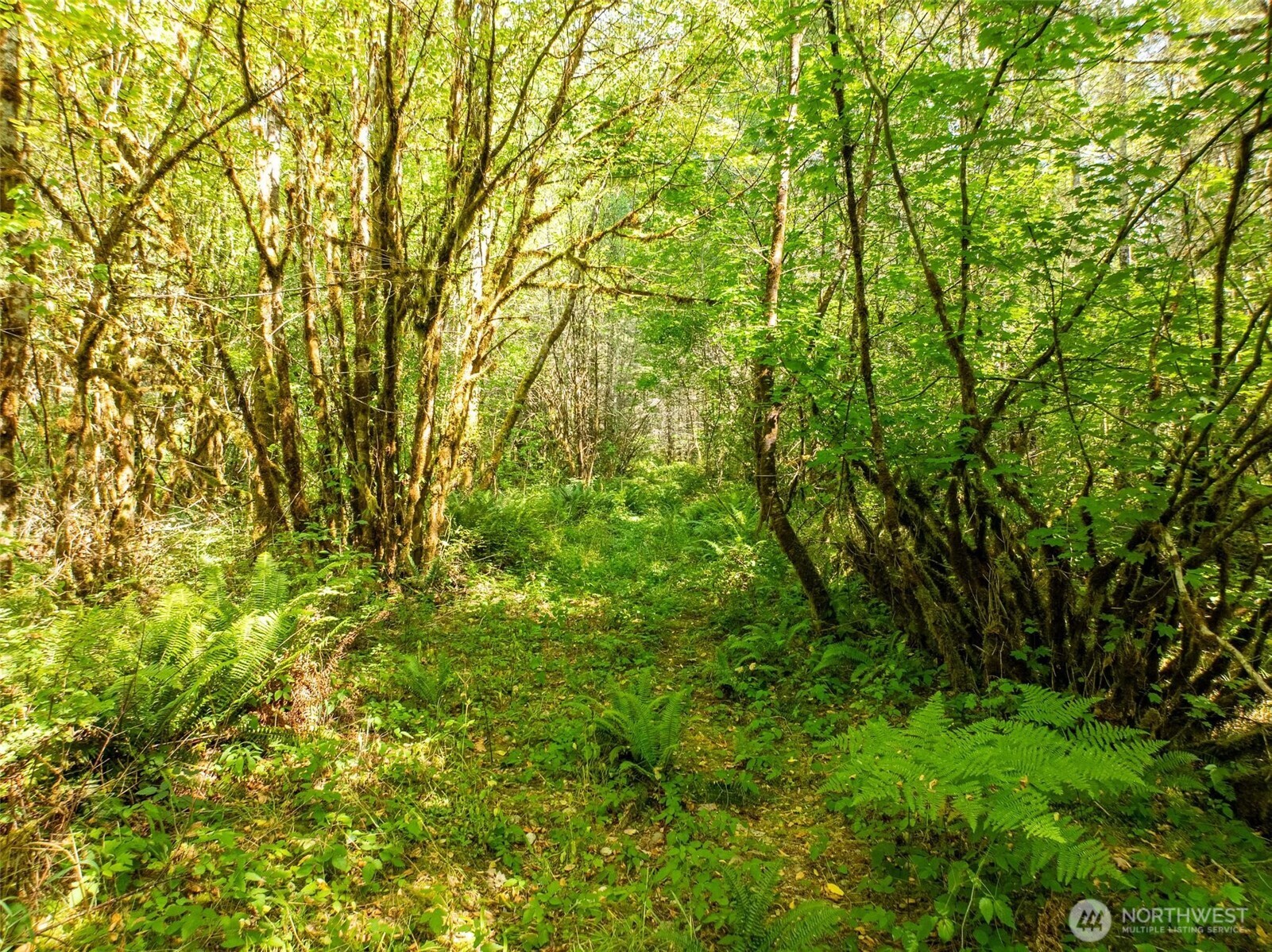 0 Lincoln Creek Road Rochester WA 98579