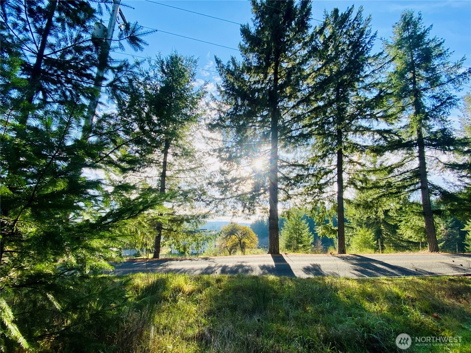 0 Lincoln Creek Road Rochester WA 98579
