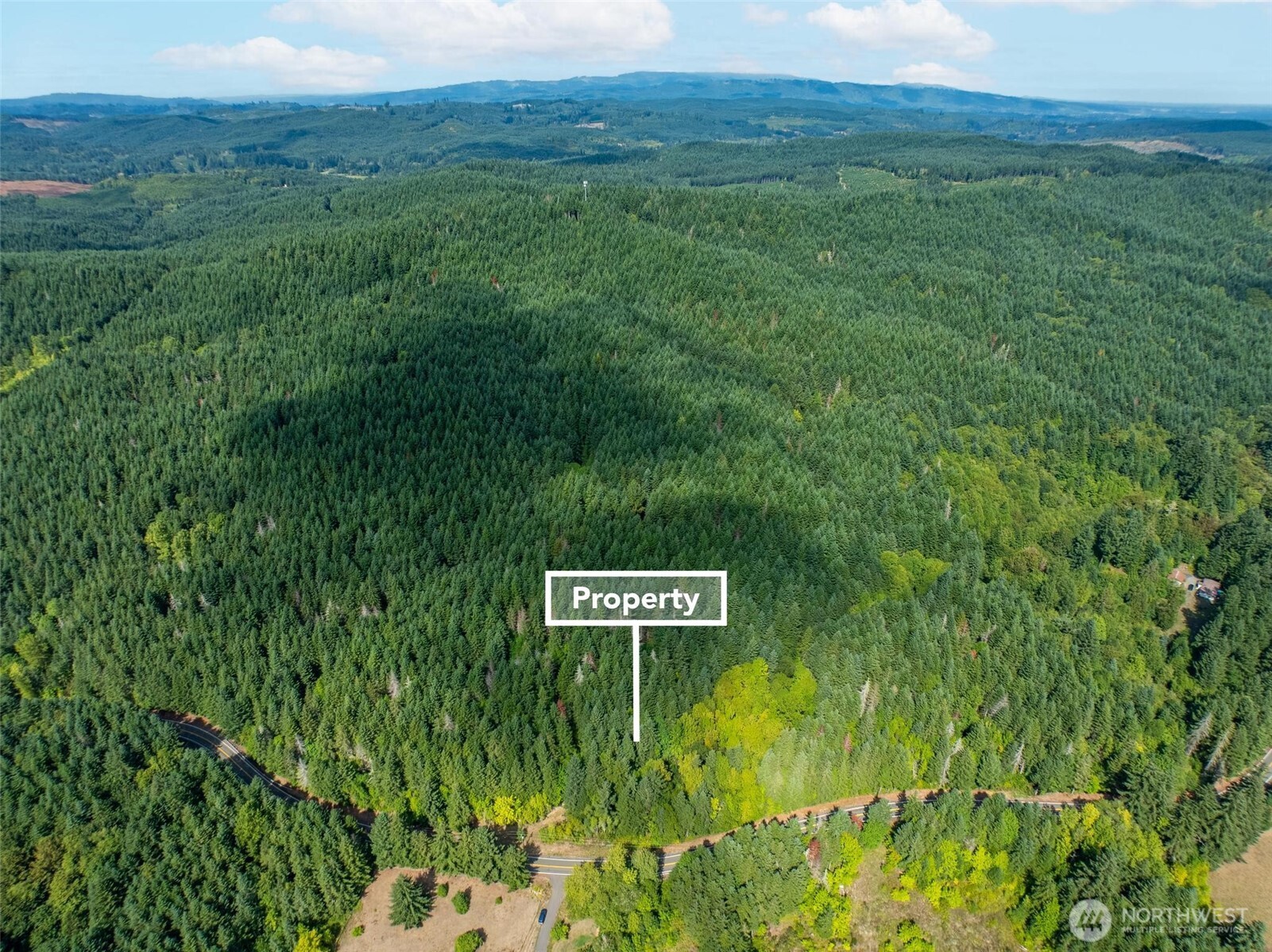 0 Lincoln Creek Road Rochester WA 98579