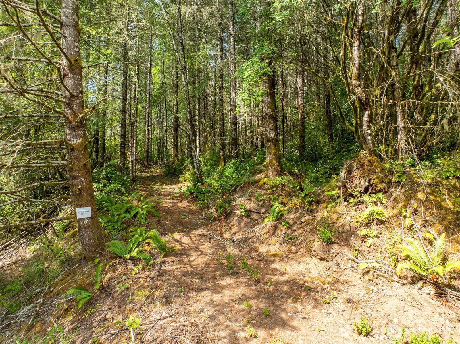 0 Lincoln Creek Road Rochester WA 98579