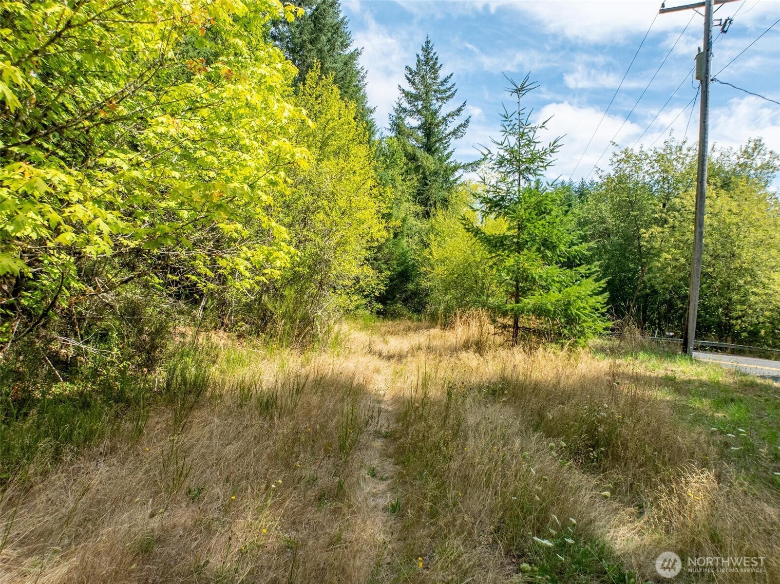 0 Lincoln Creek Road Rochester WA 98579