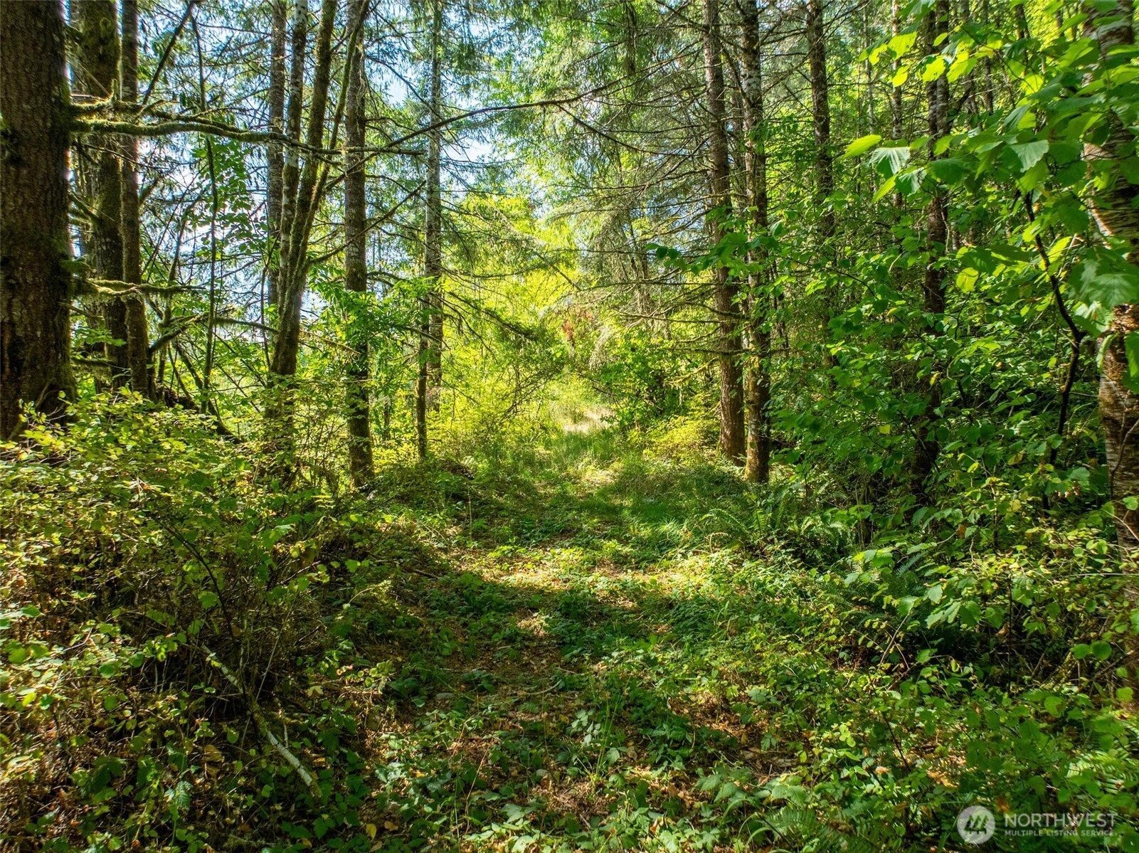0 Lincoln Creek Road Rochester WA 98579
