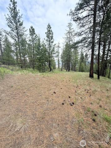 0 Tbd Broken Spoke Road Tonasket WA 98855