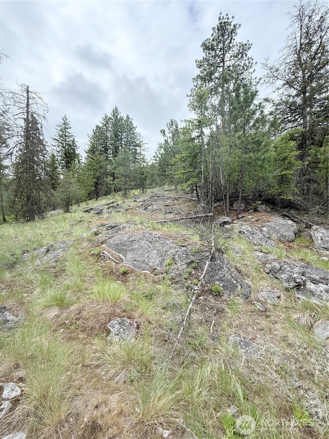 0 Tbd Broken Spoke Road Tonasket WA 98855