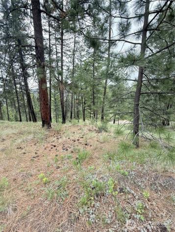 0 Tbd Broken Spoke Road Tonasket WA 98855