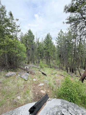 0 Tbd Broken Spoke Road Tonasket WA 98855