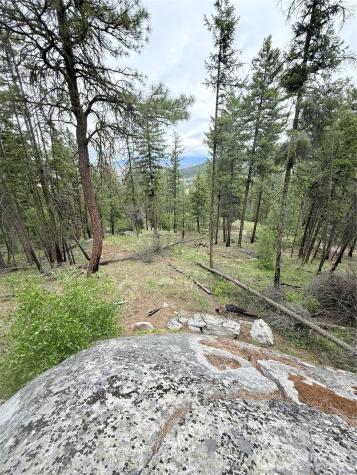 0 Tbd Broken Spoke Road Tonasket WA 98855