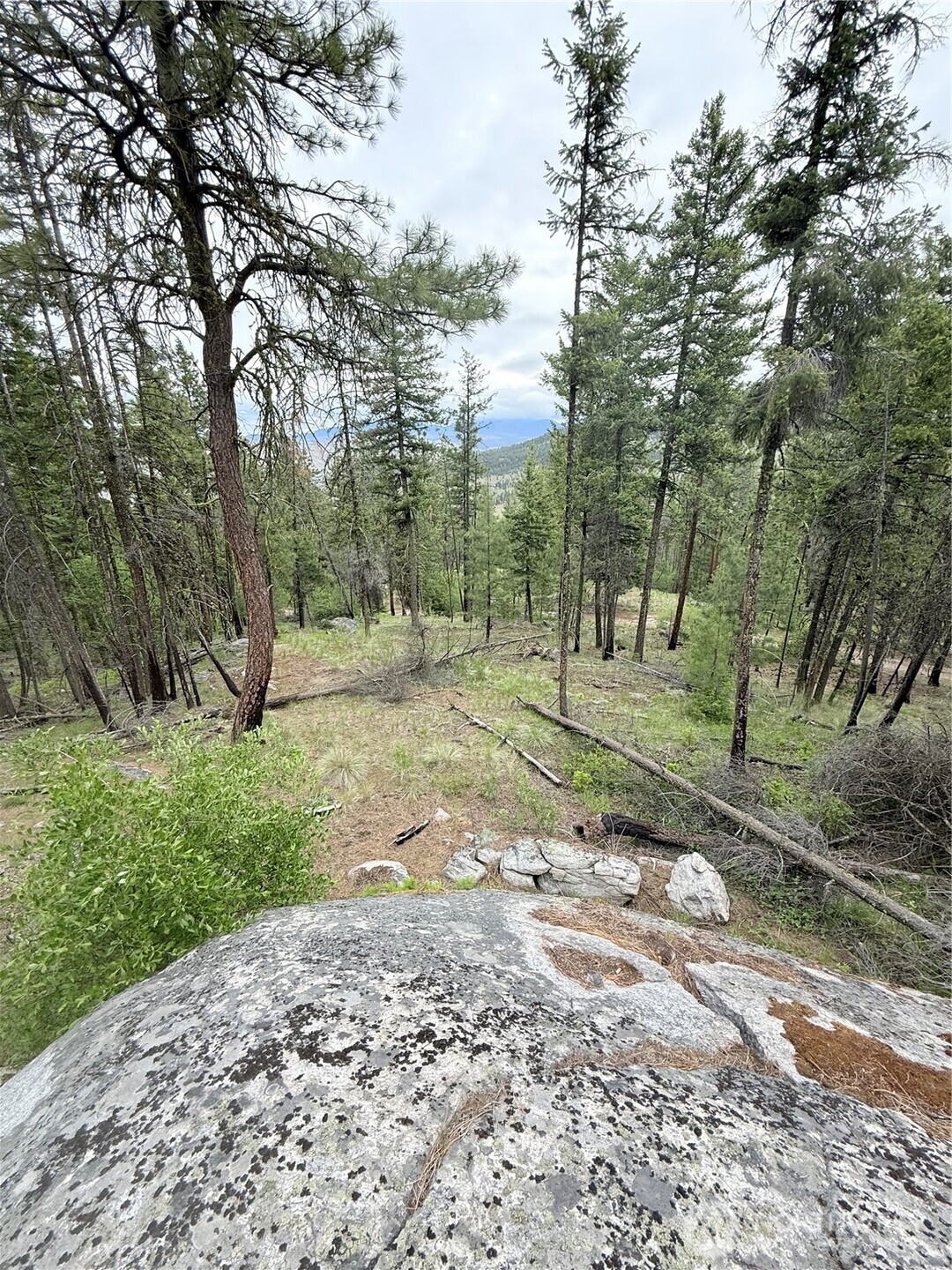 0 Tbd Broken Spoke Road Tonasket WA 98855