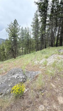 0 Tbd Broken Spoke Road Tonasket WA 98855