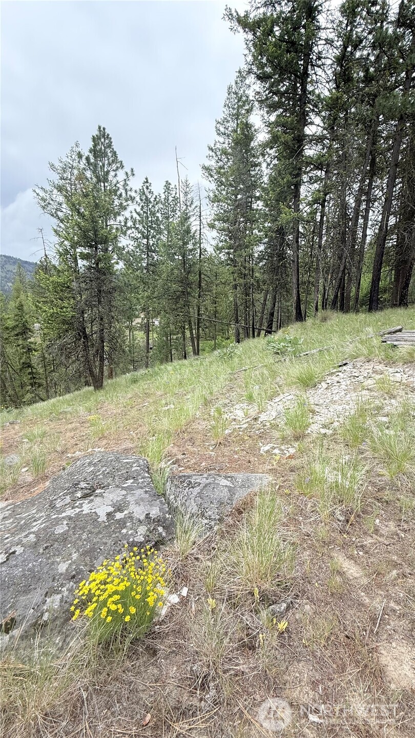 0 Tbd Broken Spoke Road Tonasket WA 98855