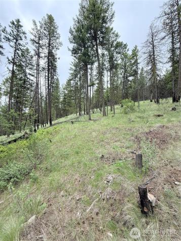 0 Tbd Broken Spoke Road Tonasket WA 98855