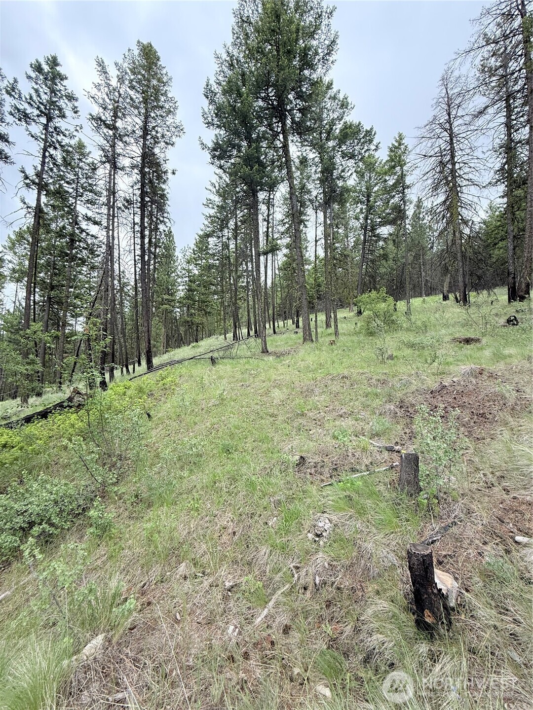 0 Tbd Broken Spoke Road Tonasket WA 98855