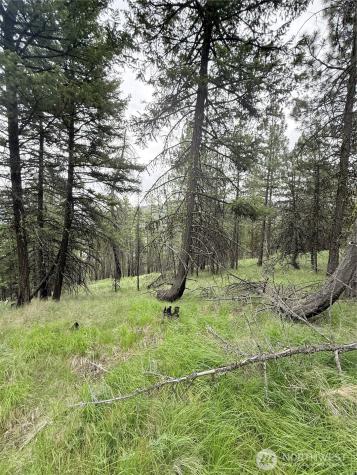 0 Tbd Broken Spoke Road Tonasket WA 98855