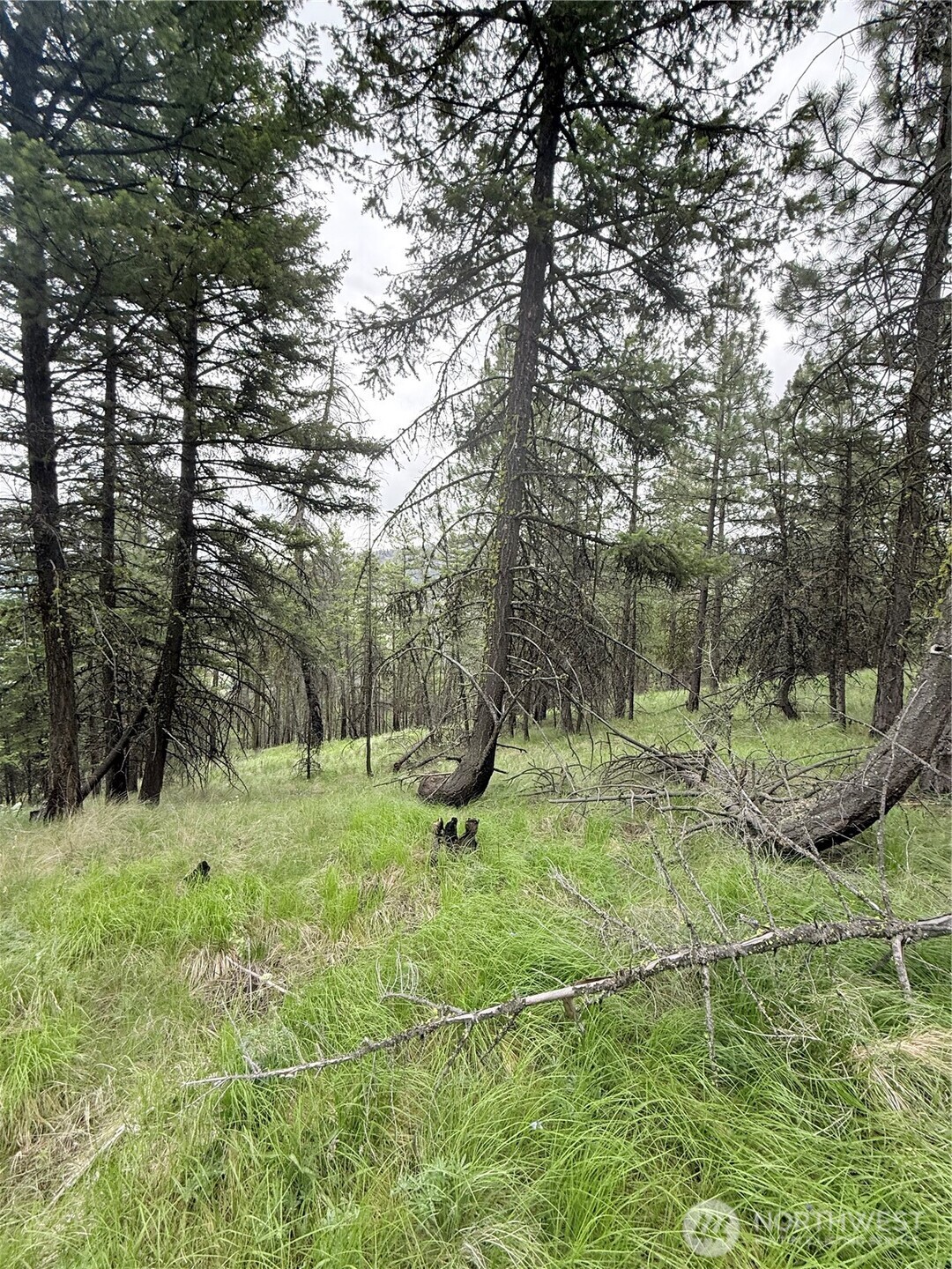 0 Tbd Broken Spoke Road Tonasket WA 98855