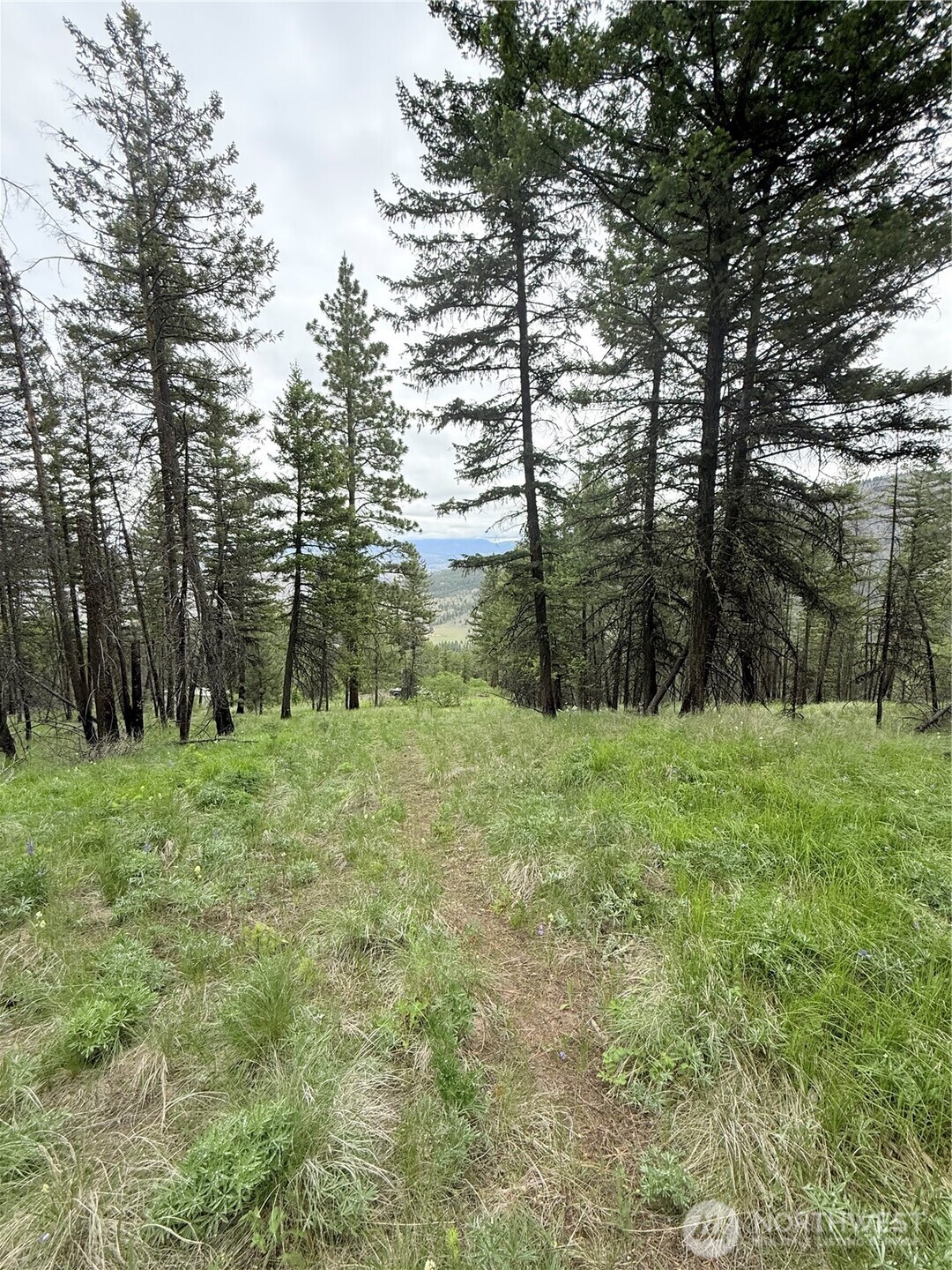 0 Tbd Broken Spoke Road Tonasket WA 98855