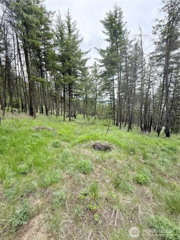 0 Tbd Broken Spoke Road Tonasket WA 98855