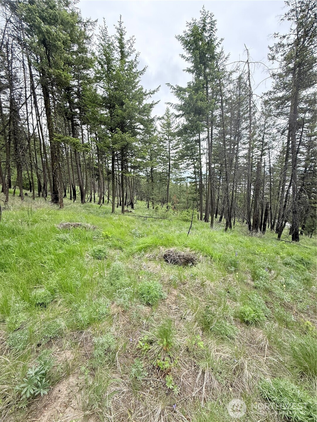 0 Tbd Broken Spoke Road Tonasket WA 98855