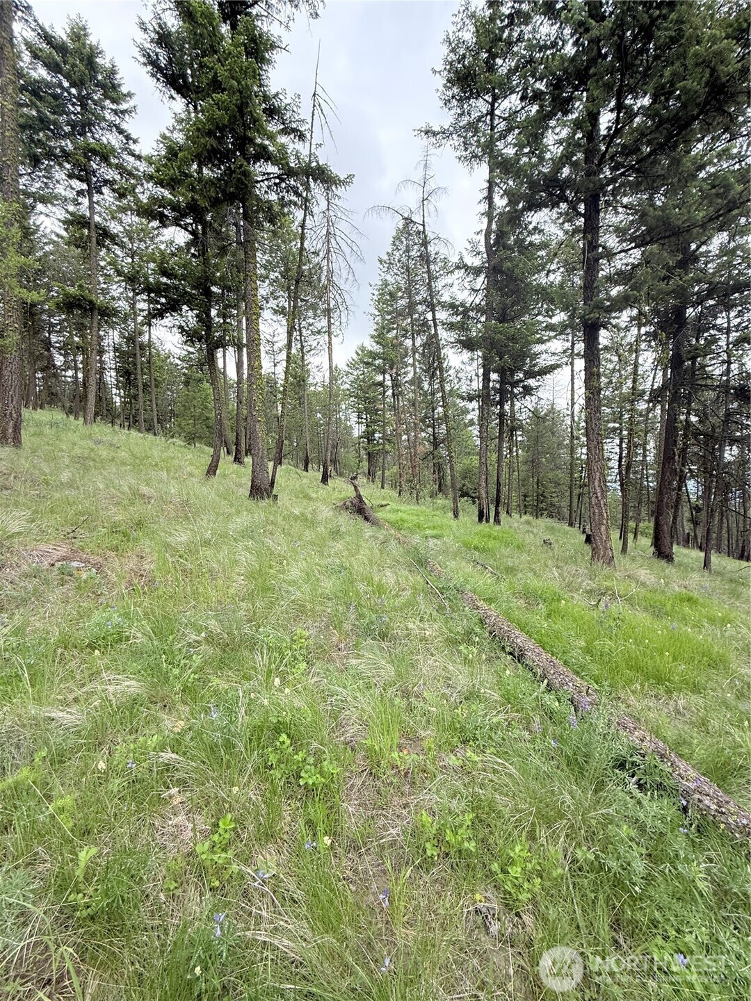 0 Tbd Broken Spoke Road Tonasket WA 98855