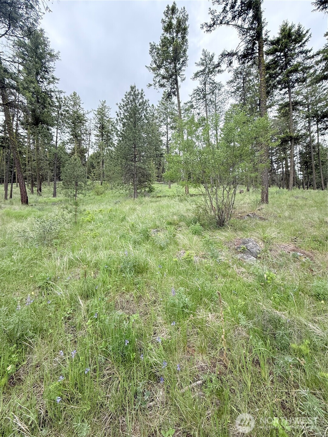0 Tbd Broken Spoke Road Tonasket WA 98855
