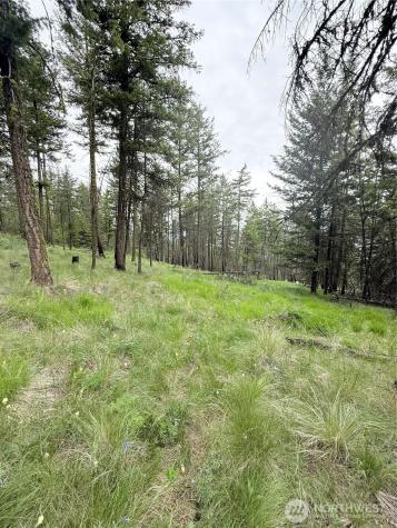 0 Tbd Broken Spoke Road Tonasket WA 98855