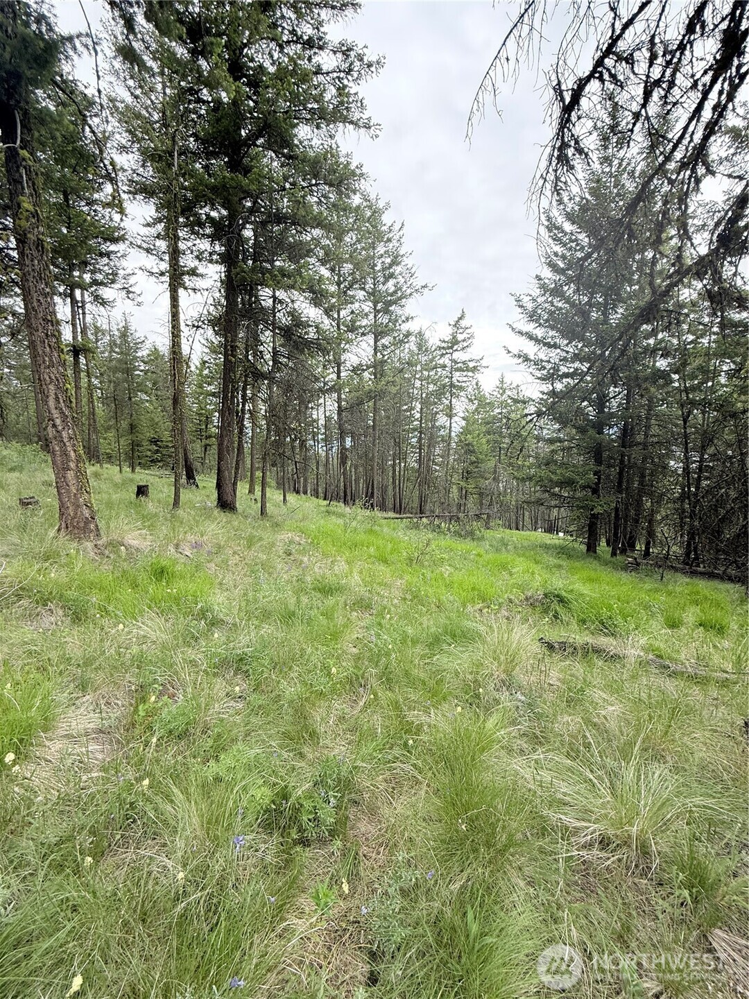 0 Tbd Broken Spoke Road Tonasket WA 98855