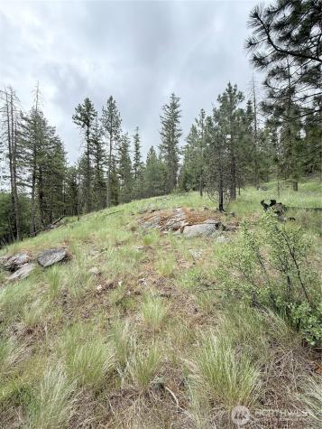 0 Tbd Broken Spoke Road Tonasket WA 98855