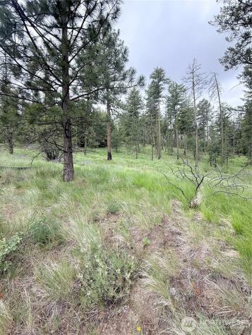 0 Tbd Broken Spoke Road Tonasket WA 98855