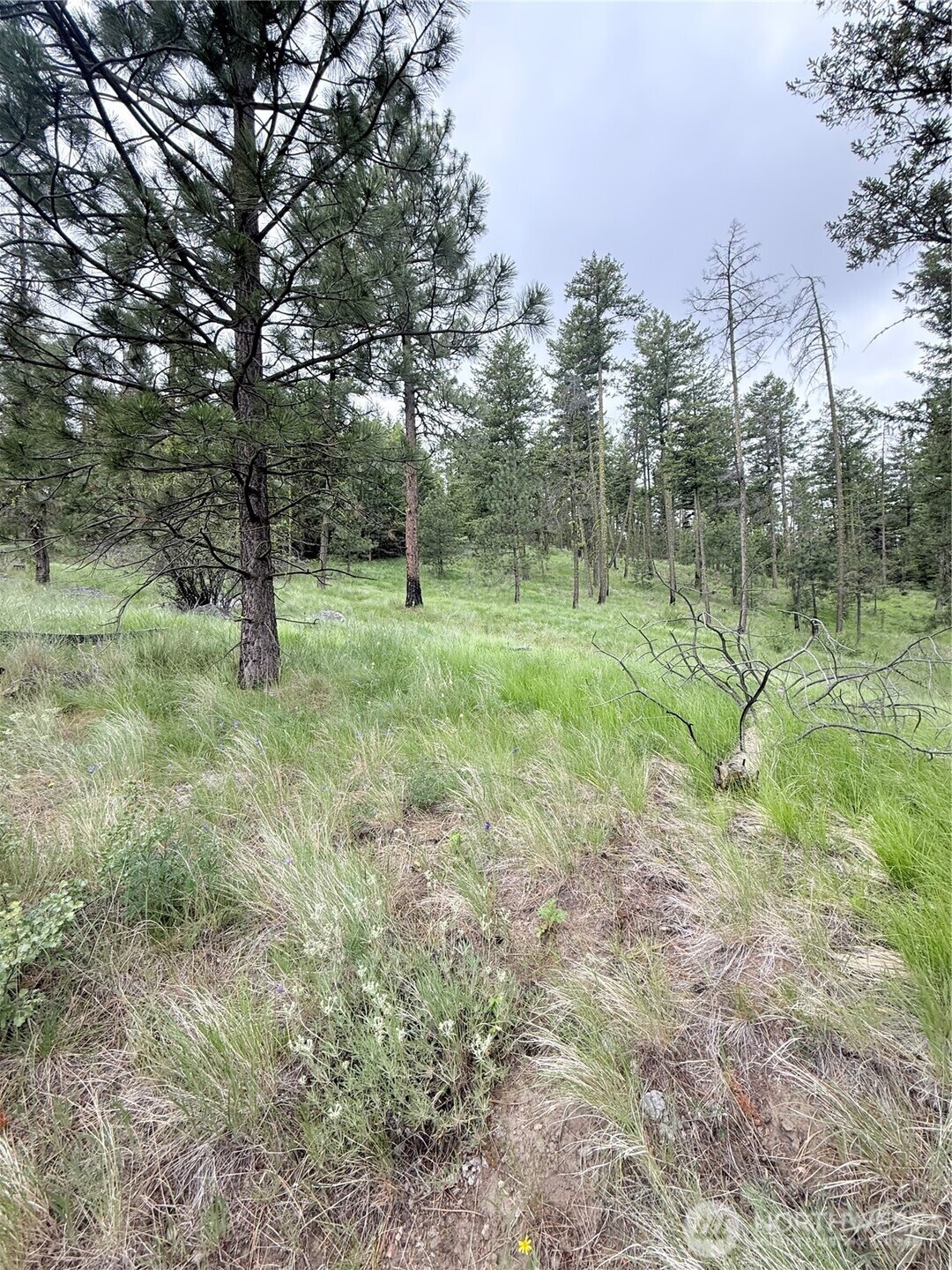 0 Tbd Broken Spoke Road Tonasket WA 98855