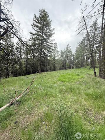 0 Tbd Broken Spoke Road Tonasket WA 98855