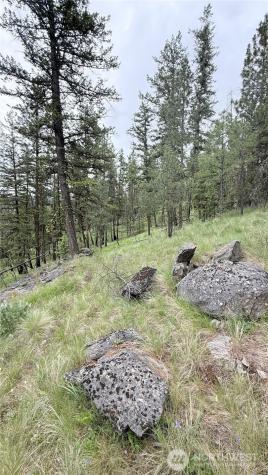 0 Tbd Broken Spoke Road Tonasket WA 98855