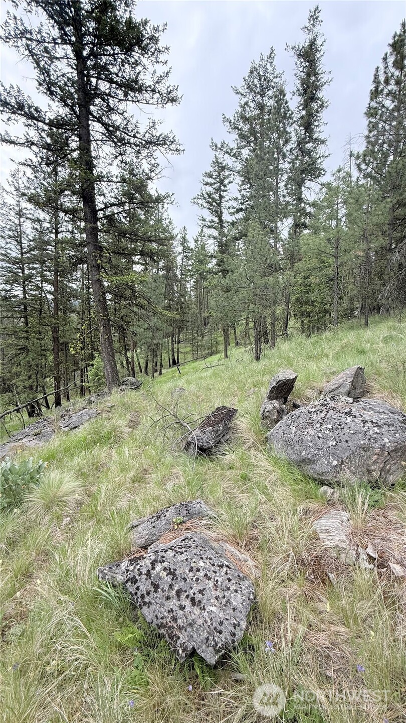 0 Tbd Broken Spoke Road Tonasket WA 98855