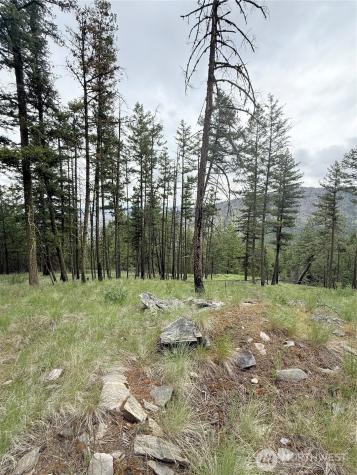 0 Tbd Broken Spoke Road Tonasket WA 98855