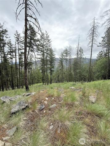 0 Tbd Broken Spoke Road Tonasket WA 98855