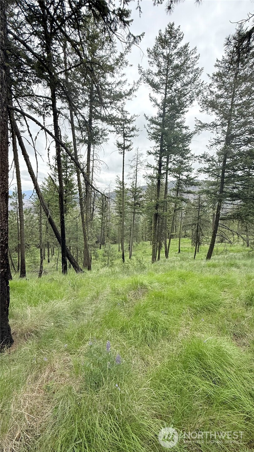 0 Tbd Broken Spoke Road Tonasket WA 98855