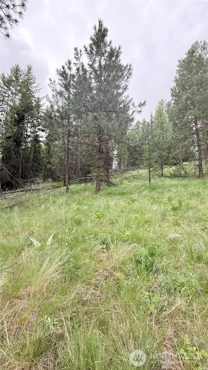 0 Tbd Broken Spoke Road Tonasket WA 98855