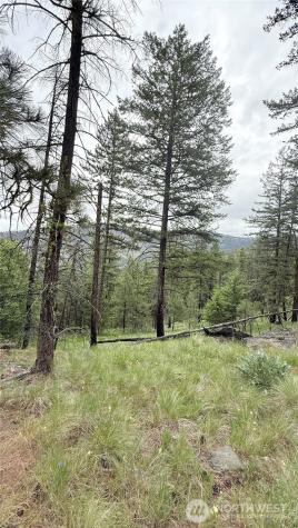 0 Tbd Broken Spoke Road Tonasket WA 98855