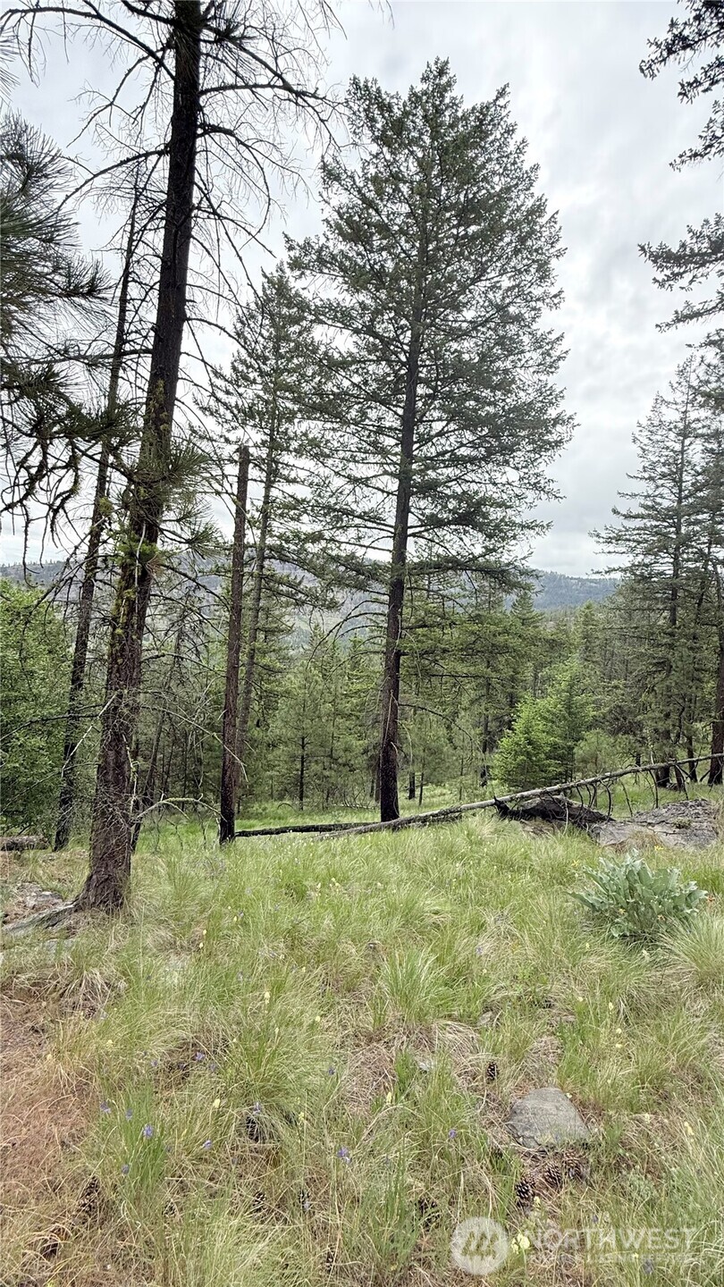 0 Tbd Broken Spoke Road Tonasket WA 98855