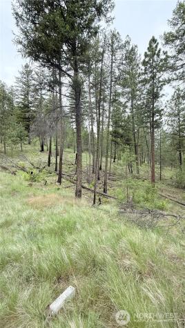 0 Tbd Broken Spoke Road Tonasket WA 98855