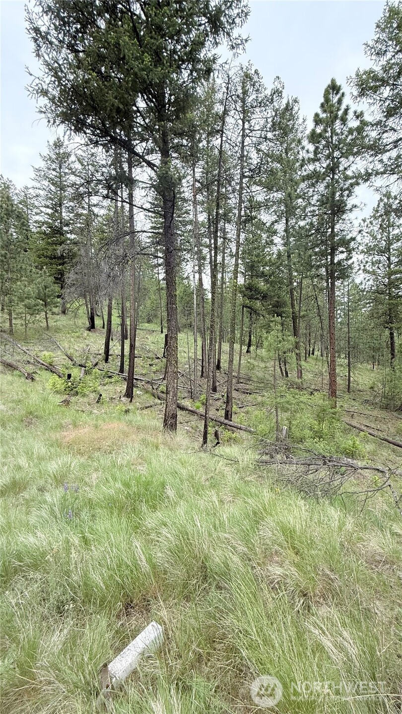 0 Tbd Broken Spoke Road Tonasket WA 98855